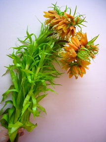 fritillaria imperialis orange sweet_whole.jpg