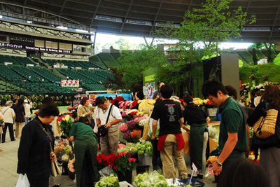 flowermarket02.jpg