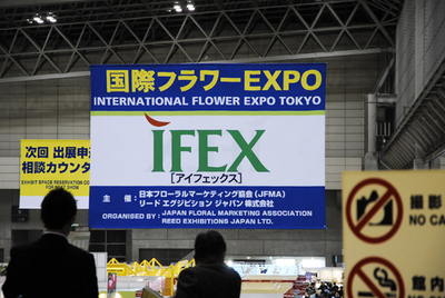 ifex2008.jpg