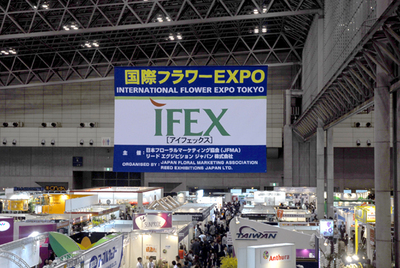 ifex2009.jpg