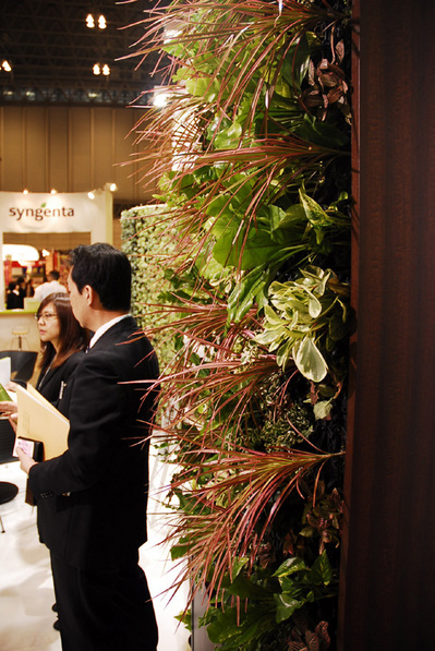 ifex2010_24.jpg