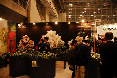 ifex2010_25.jpg