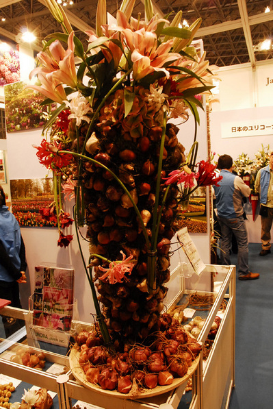 ifex2010_32.jpg