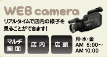WEB camera