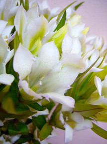 オータムブライダル 花市場の仲卸 大森花卉 おおもりかき