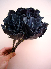 blackleaf(kale)_whole.jpg