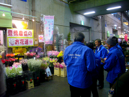 toyohashi2013_1.jpg