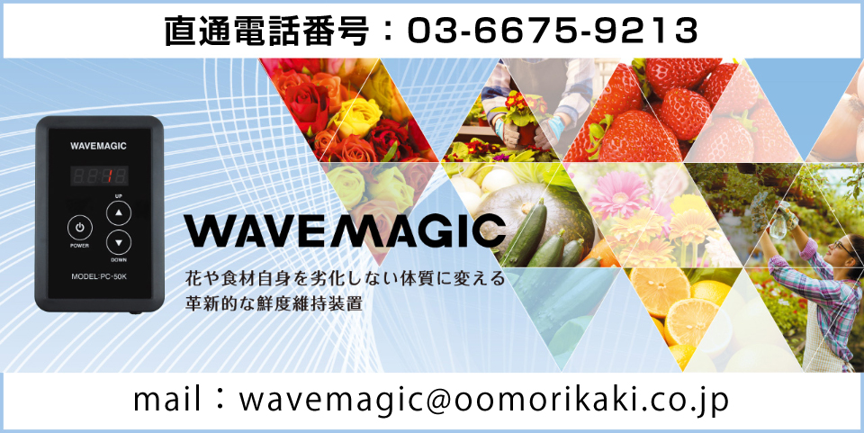 WAVEMAGIC