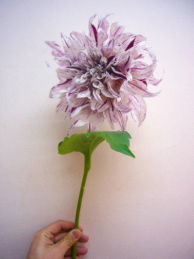 砂漠