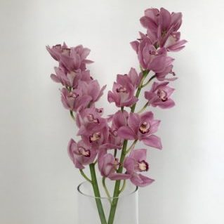 ファイヤーグロー