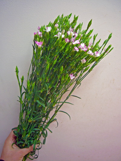 線香花火