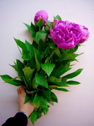 華燭の典